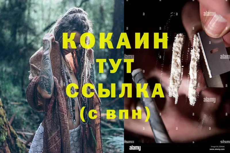 Cocaine FishScale  где найти   Приволжск 